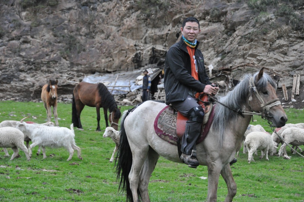 蛤蟆(来自飞鸟相机)