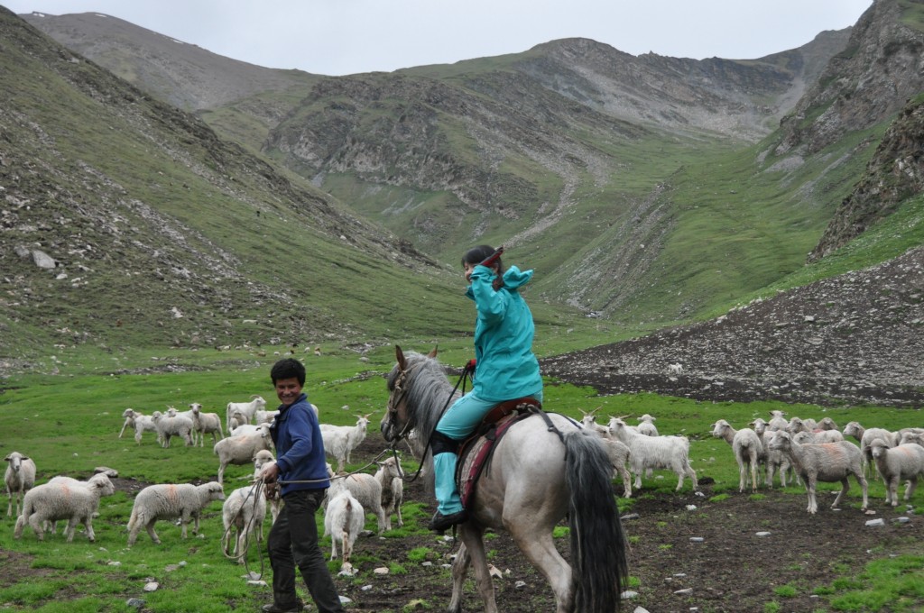 彩妮(来自飞鸟相机)