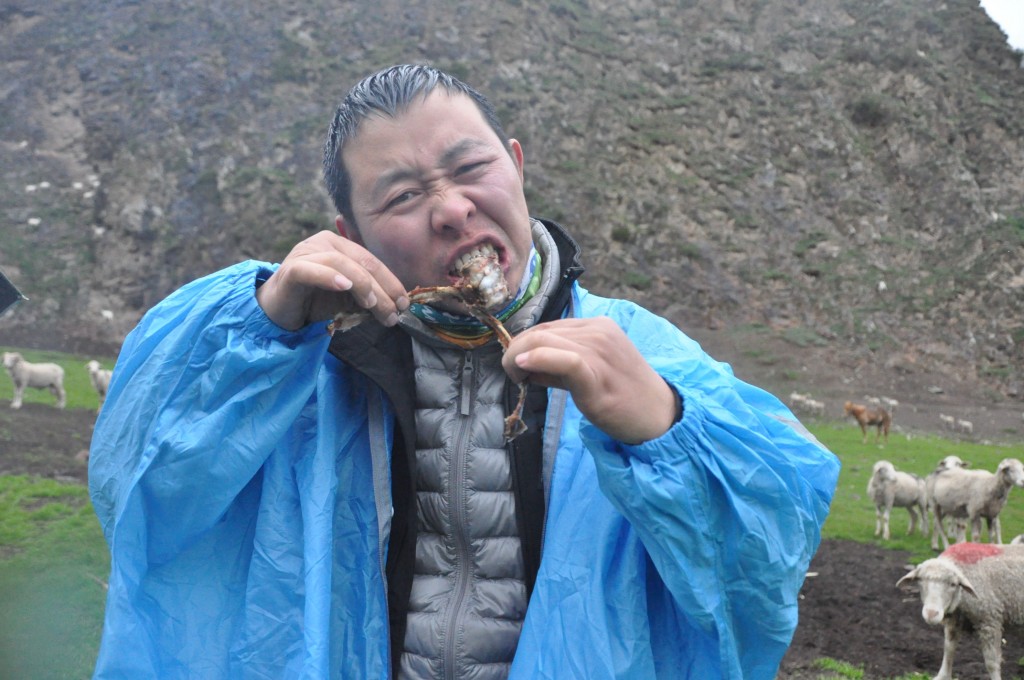 蛤蟆啃大排(来自飞鸟相机)