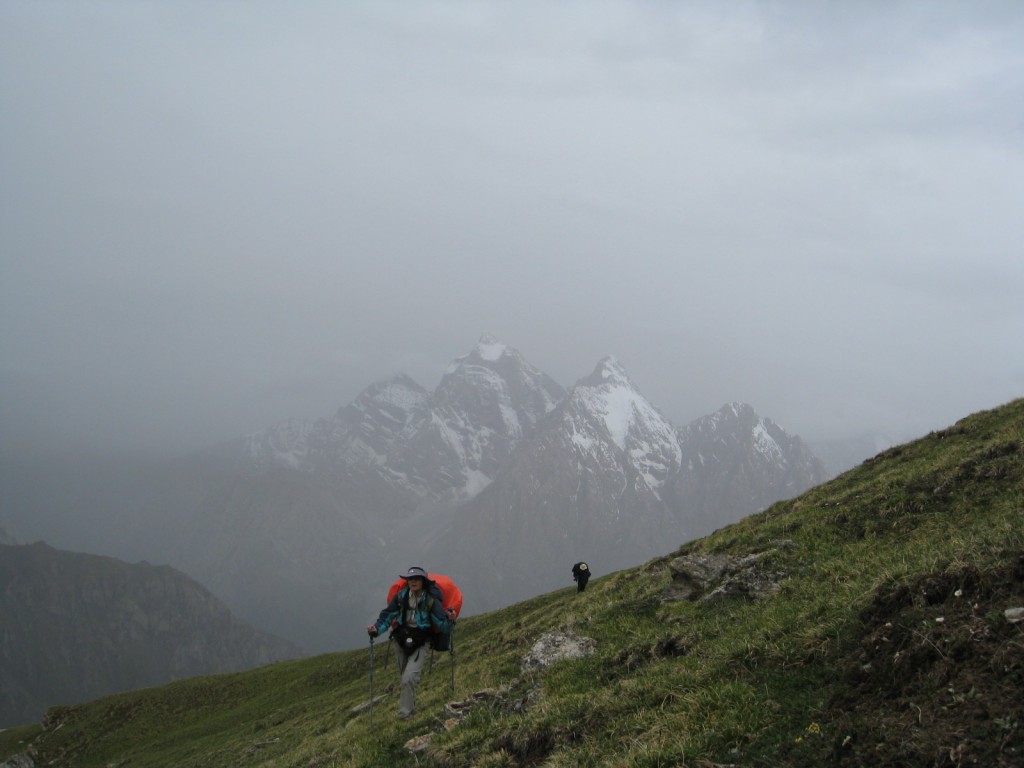 来自蛤蟆的相机
