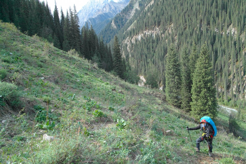 楚天飞鸟(来自南狼相机)
