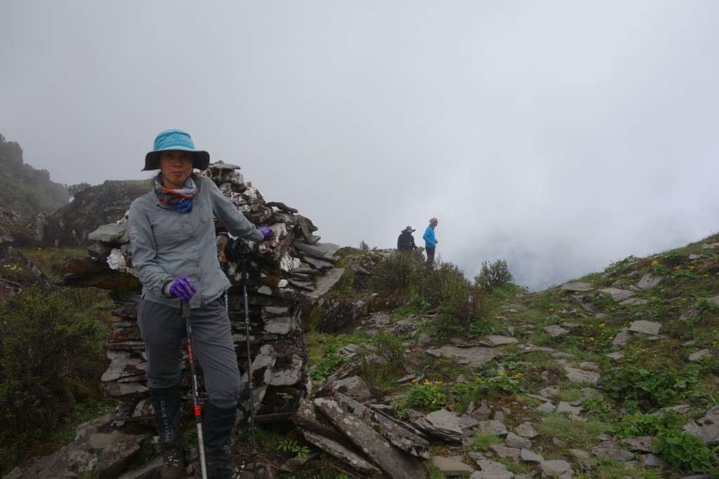 虎伢-来自江南相机