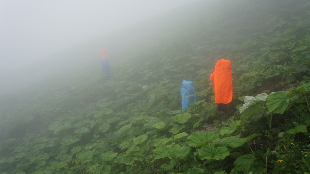 横切-来自粥粥相机