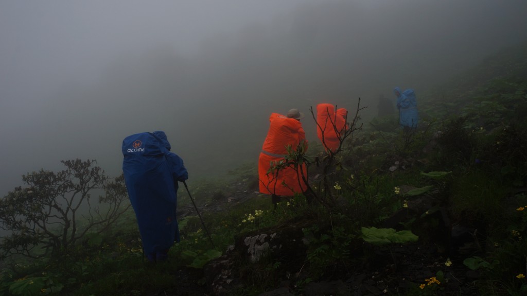 横切-来自粥粥相机