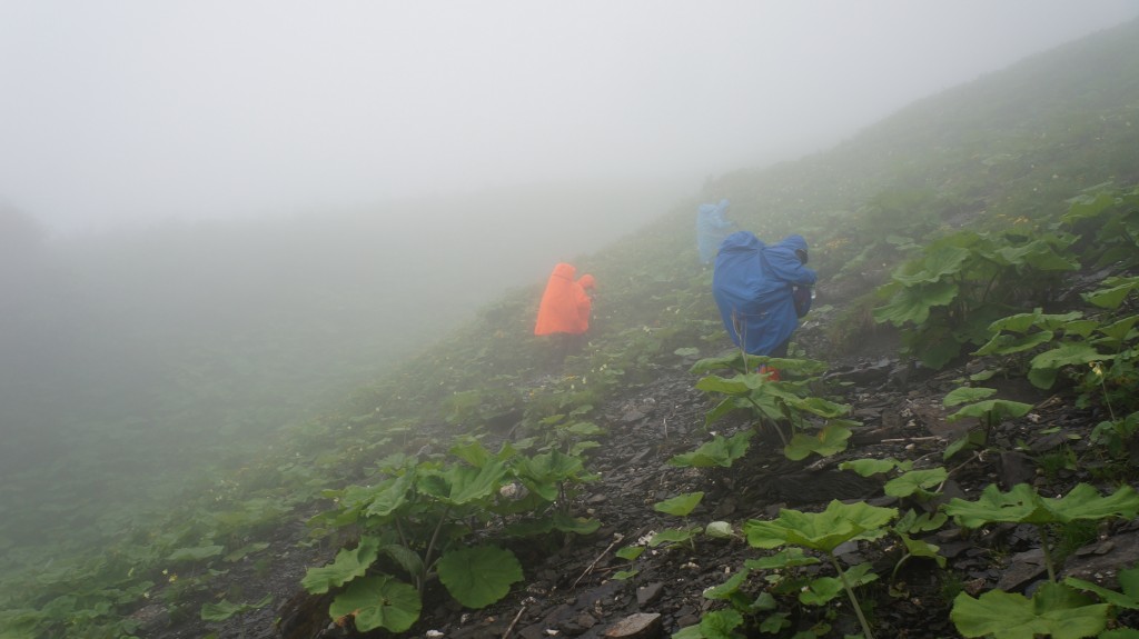 南狼取水-来自粥粥相机