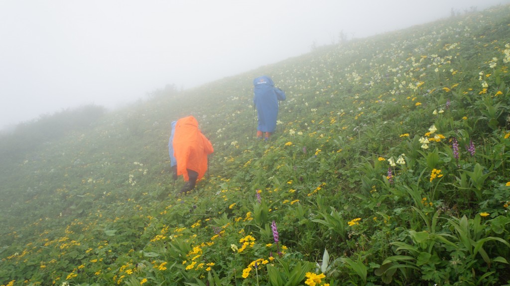 往上切-来自粥粥相机