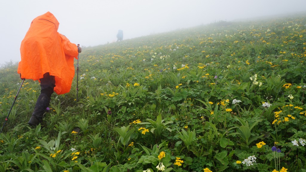 往上切-来自粥粥相机