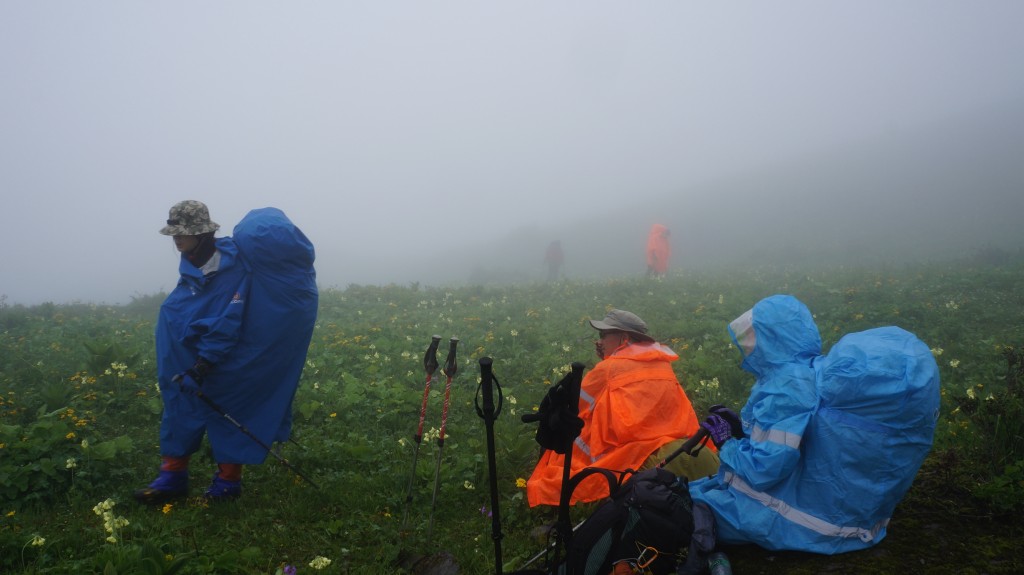 回到轨迹-来自粥粥相机