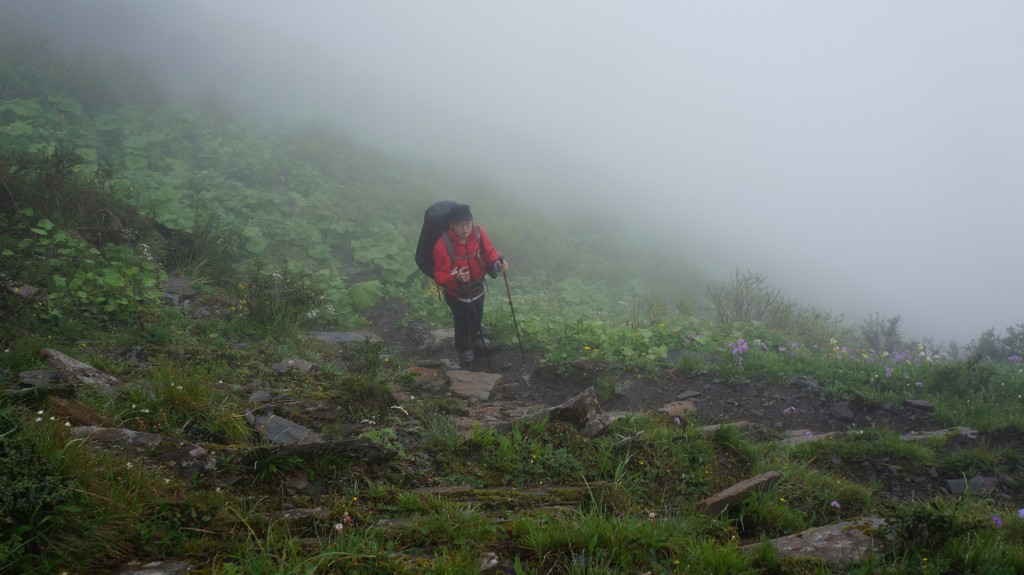 鸡蛋-来自粥粥相机