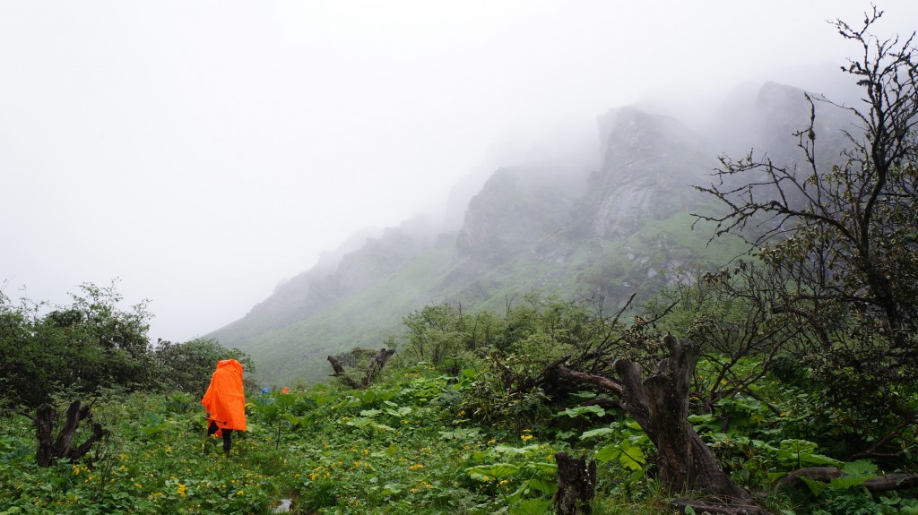 赶往耙子桥尾营地中-来自粥粥相机